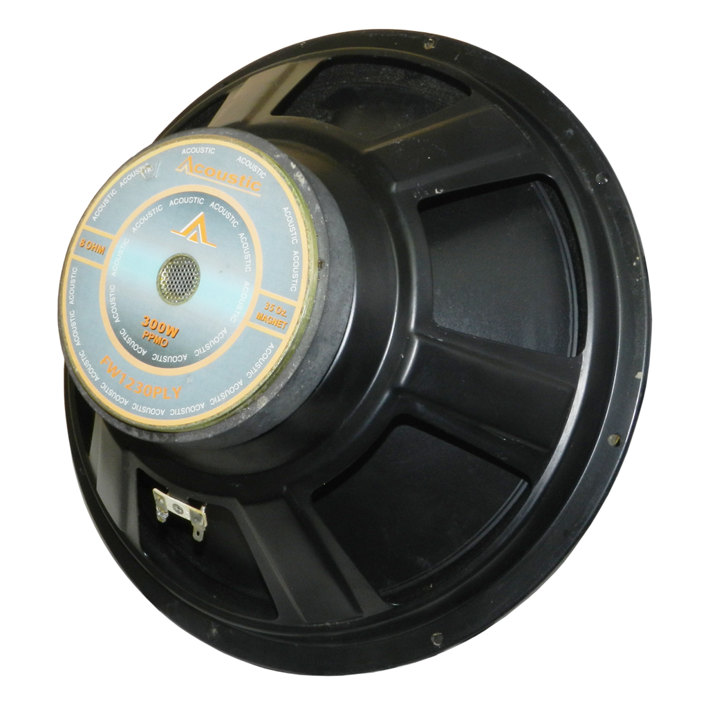PARLANTE, 12 PULG., 300 WATTS, 8 OHM, 95DB