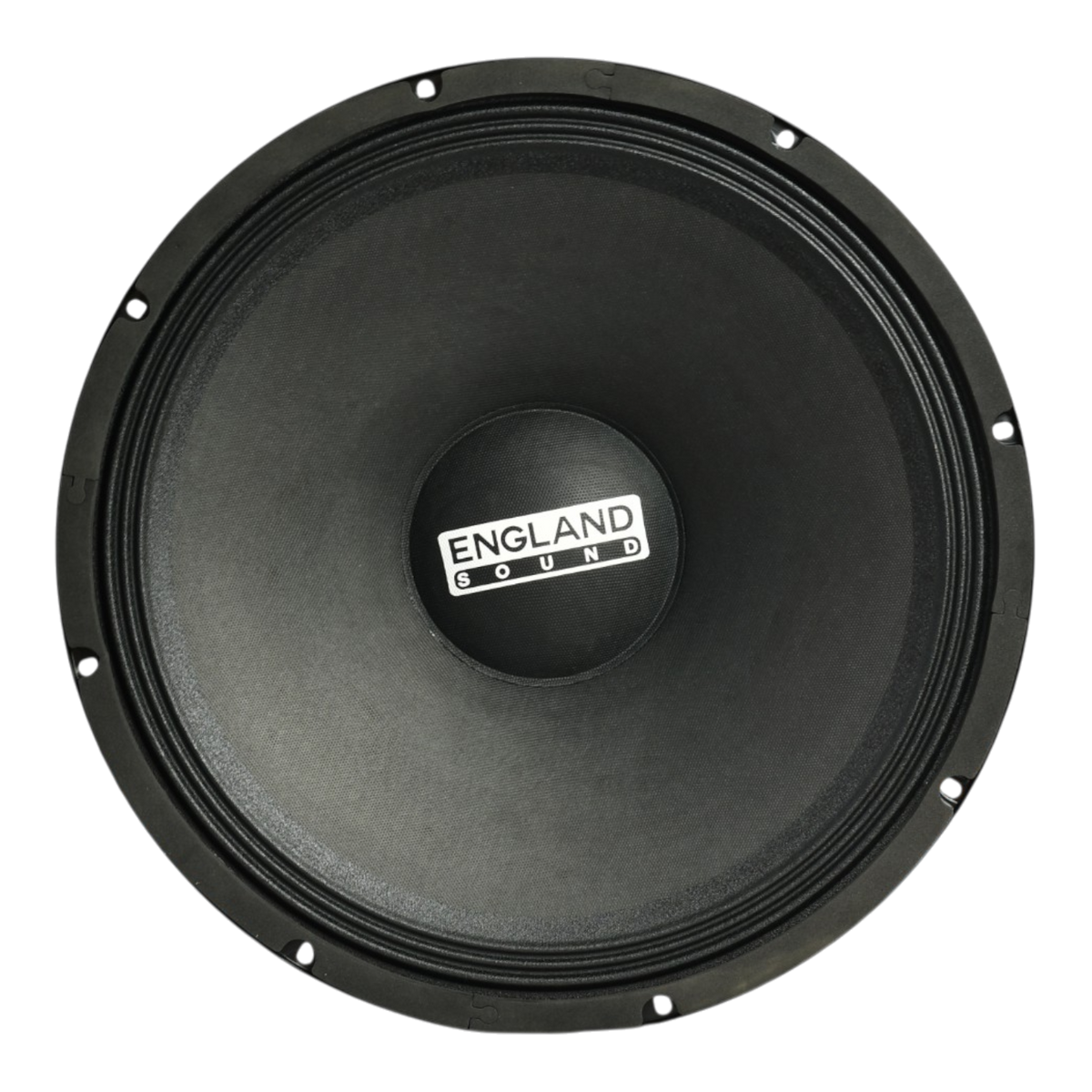 PARLANTE, 15 PULG., 300 WATTS, 8 OHM, 92DB