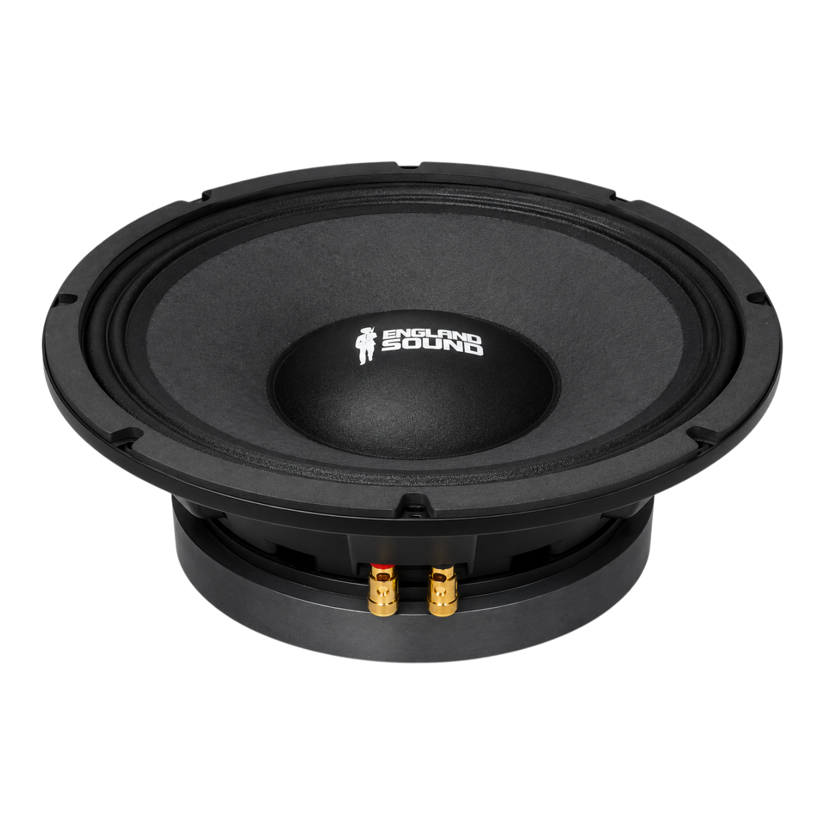 PARLANTE, 12 PULG., 1000 WATTS, 8 OHM, 100DB