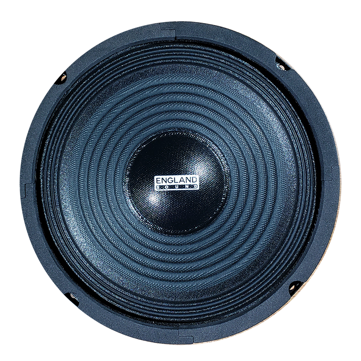 PARLANTE, 8 PULG., 300 WATTS, 4 OHM, 92DB