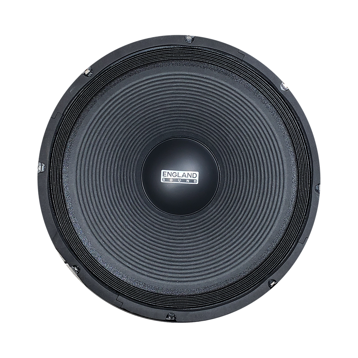 PARLANTE, 15 PULG., 1000 WATTS, 8 OHM, 98DB