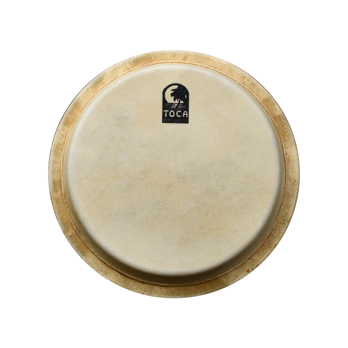 PARCHE DE CONGA 11 3/4"